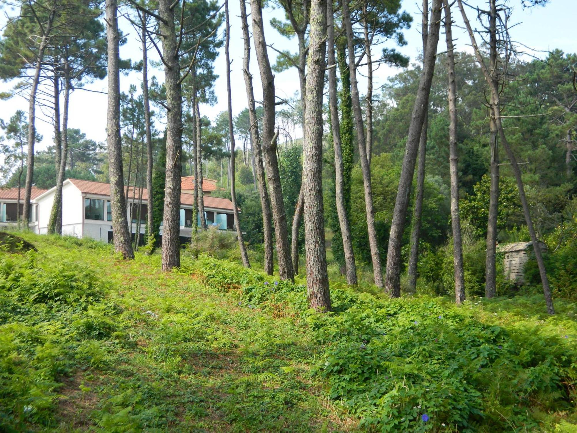 Hotel Alen Do Mar Finisterre Exteriér fotografie